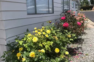 10210 Baseline, Rancho Cucamonga, CA 91701 - Photo 3