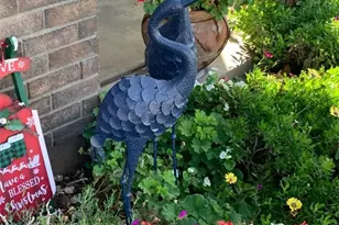 18319 Lapis Ln, San Bernardino, CA 92407 - Photo 17