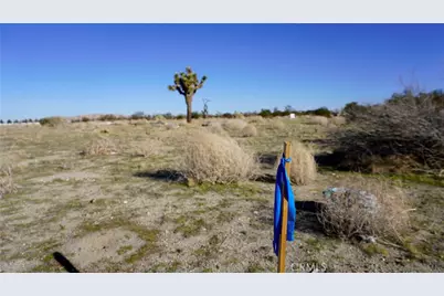 0 118th, Sun Village, CA 93543 - Photo 7