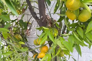 13849 San Antonio Ave, Chino, CA 91710 - Photo 43