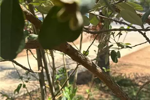 11073 Arlington Ave, Riverside, CA 92505 - Photo 19