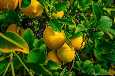 25497 Blackwood Road, Murrieta, CA 92563 - Photo 39