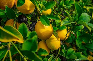 25497 Blackwood Rd, Murrieta, CA 92563 - Photo 39