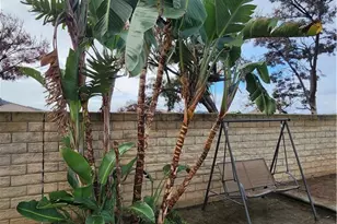 25491 Avenida Ramada, Homeland, CA 92548 - Photo 9