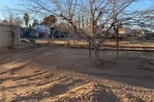 9290 Buckthorn Ave, Hesperia, CA 92345 - Photo 17