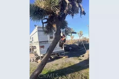 0 Madera, Pinon Hills, CA 92372 - Photo 7