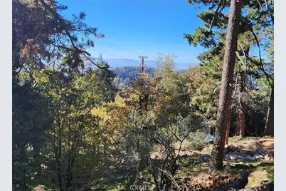 900 Lo Lane, Twin Peaks, CA 92391 - Photo 5
