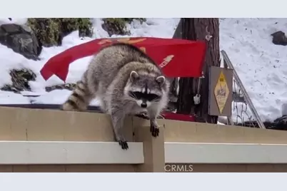 900 Lo Lane, Twin Peaks, CA 92391 - Photo 13