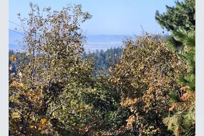 900 Lo Lane, Twin Peaks, CA 92391 - Photo 3