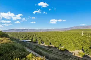 43840 Citrus View, Hemet, CA 92544 - Photo 55