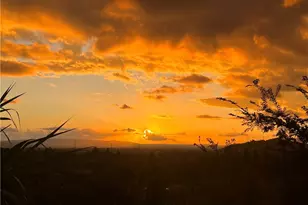 1403 N Shirlmar, San Dimas, CA 91773 - Photo 61