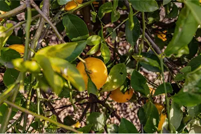 13381 Magnolia #35, Corona, CA 92879 - Photo 23