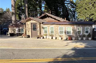1055 Playground, Crestline, CA 92325 - Photo 41
