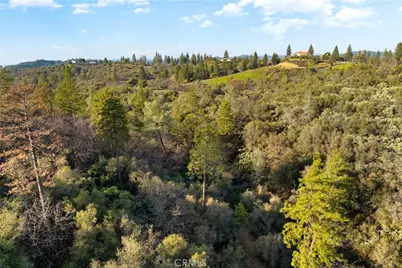 1 Ridgeview Circle, Sutter Creek, CA 95685 - Photo 5