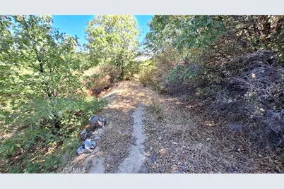 0 Coulter, Cedar Glen, CA 92321 - Photo 5