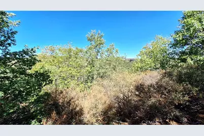 0 Coulter, Cedar Glen, CA 92321 - Photo 1