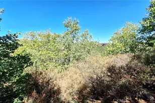 0 Coulter, Cedar Glen, CA 92321 - Photo 1