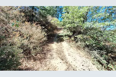 0 Coulter, Cedar Glen, CA 92321 - Photo 7