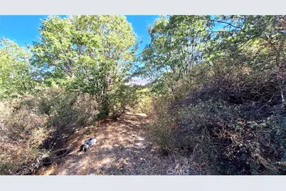 0 Coulter, Cedar Glen, CA 92321 - Photo 3