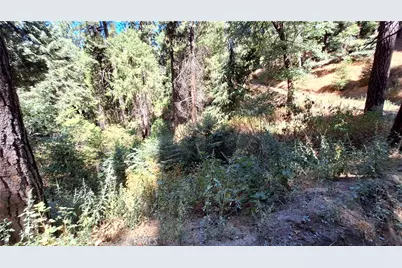 0 El Valle, Cedarpines Park, CA 92322 - Photo 1