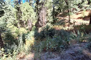 0 El Valle, Cedarpines Park, CA 92322 - Photo 1