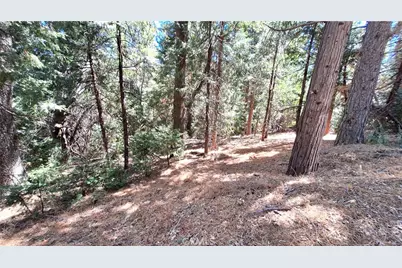0 Cedar Pines, Cedarpines Park, CA 92322 - Photo 1