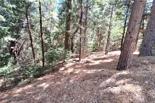 0 Cedar Pines, Cedarpines Park, CA 92322 - Photo 1