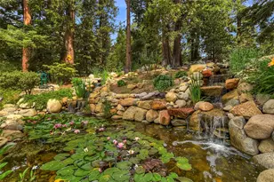 268 Cedarbrook, Twin Peaks, CA 92391 - Photo 7