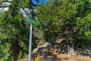 73 Upper San Antonio, Mount Baldy, CA 91759 - Photo 41