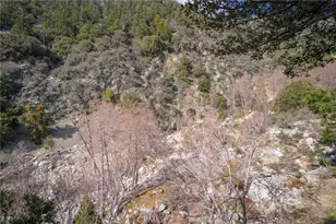 73 Upper San Antonio, Mount Baldy, CA 91759 - Photo 11