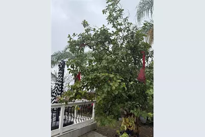 25139 N Elder Avenue, Moreno Valley, CA 92557 - Photo 25