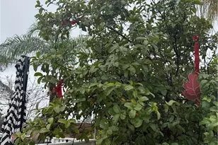 25139 N Elder Ave, Moreno Valley, CA 92557 - Photo 25