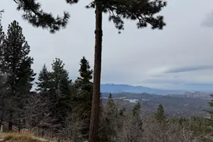 33149 Holcomb Creek Dr, Green Valley Lake, CA 92341 - Photo 43