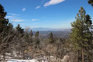 33149 Holcomb Creek Dr, Green Valley Lake, CA 92341 - Photo 35