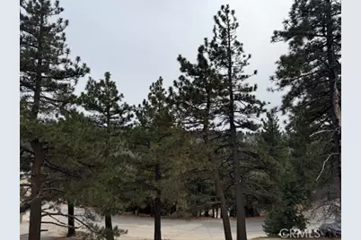 33149 Holcomb Creek Drive, Green Valley Lake, CA 92341 - Photo 13