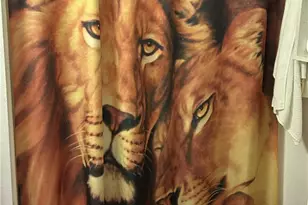 28639 Rostrata, Lake Elsinore, CA 92532 - Photo 29