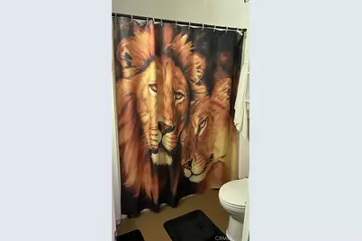 28639 Rostrata, Lake Elsinore, CA 92532 - Photo 29