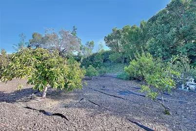 16240 Little Court, Riverside, CA 92508 - Photo 61