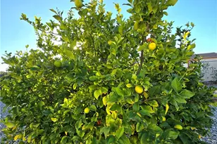 27107 Flagler St, Menifee, CA 92586 - Photo 31