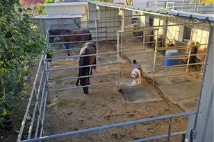 9111 Hidden Farm, Alta Loma, CA 91737 - Photo 37