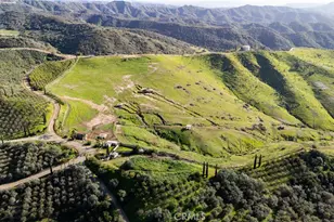 39250 Ortega Hwy., San Juan Capistrano, CA 92562 - Photo 57