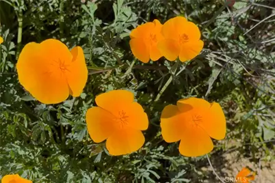 1 Chris Allen Way, Aguanga, CA 92536 - Photo 23