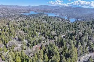 401 Grizzly Rd, Lake Arrowhead, CA 92352 - Photo 47