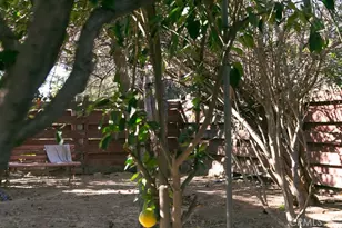 5535 Norman, Riverside, CA 92504 - Photo 19