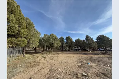 1820 Golden Rod, Big Bear City, CA 92314 - Photo 19