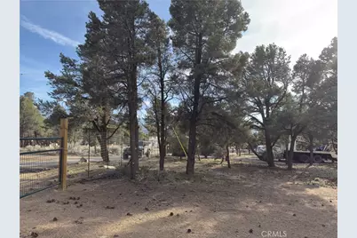 1820 Golden Rod, Big Bear City, CA 92314 - Photo 25