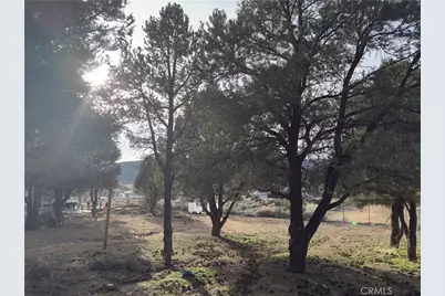1820 Golden Rod, Big Bear City, CA 92314 - Photo 23