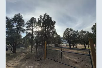 1820 Golden Rod, Big Bear City, CA 92314 - Photo 5