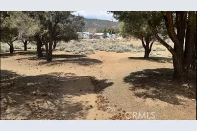 1820 Golden Rod, Big Bear City, CA 92314 - Photo 7