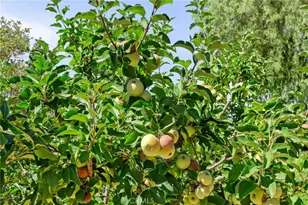 10684 Lakeview Rd, Yucaipa, CA 92399 - Photo 7